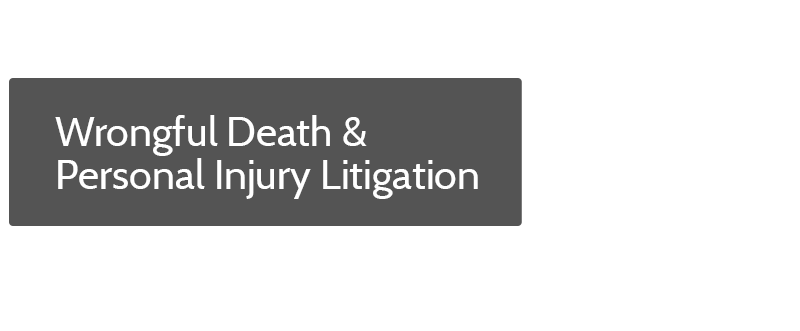 Wrongful Death  Personal Injury Litigation